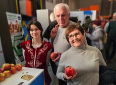 Алматинский апорт и продукция из него выходят на экспорт