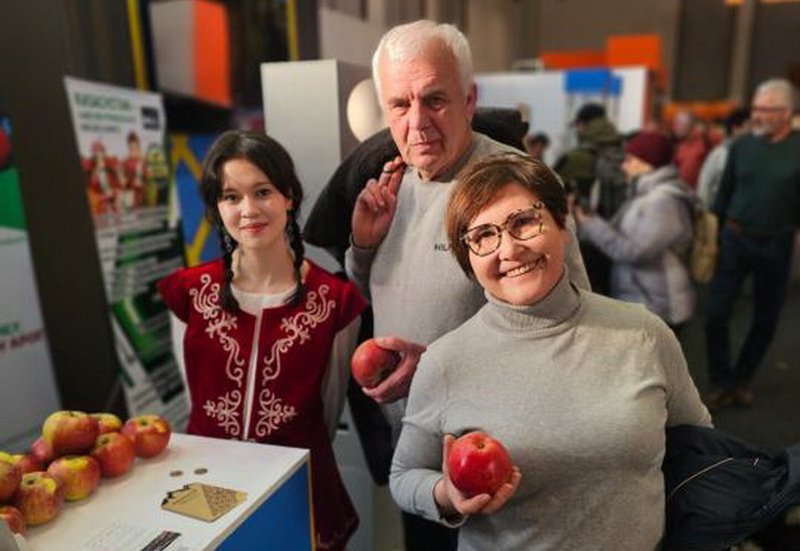 Алматинский апорт и продукция из него выходят на экспорт