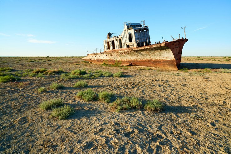 Пастбища организуют на дне Аральского моря в Казахстане