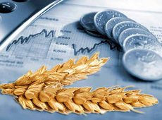 Мировые цены на пшеницу подросли, а тенге слабеет