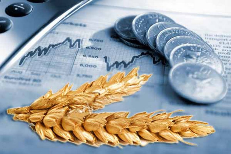 Мировые цены на пшеницу подросли, а тенге слабеет