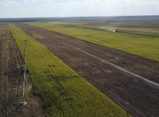 В Казахстане  выявлены неправомерные отказы в продлении аренды земли