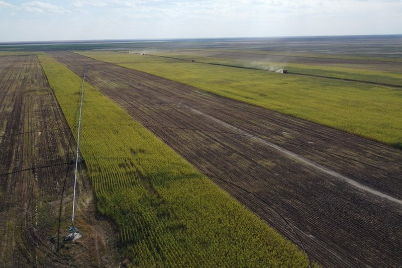 В Казахстане  выявлены неправомерные отказы в продлении аренды земли