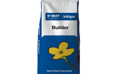 Билдер рапс сұрпы