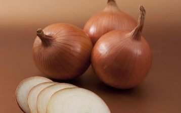 Лук репчатый сорт Боско