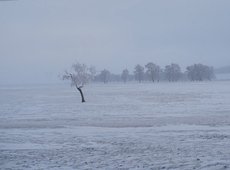 В Казахстане в начале недели прогнозируют снежную погоду