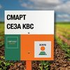 СМАРТ СЕЗА КВС қант қызылшасы сұрпы