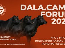 Будущее мясной индустрии обсудят на Dala.Camp 2026