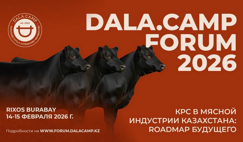 Будущее мясной индустрии обсудят на Dala.Camp 2026