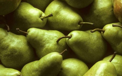 Груша сорт Давид