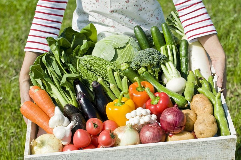 Фермерлік — бұл әлемдік сән үрдісі ме, әлде рухани қажеттілік пе?