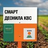 СМАРТ ДЕОНИЛА КВС қант қызылшасы сұрпы