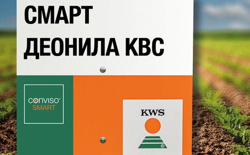 Свекла сахарная сорт СМАРТ ДЕОНИЛА КВС