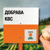 Свекла сахарная сорт ДОБРАВА KBC