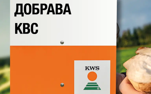 ДОБРАВА KBC қант қызылшасы сұрпы