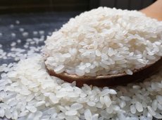 В Кызылординской области Продкорпорация проведет форвардный закуп риса
