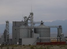 Элеваторы в Казахстане готовят к приему нового урожая