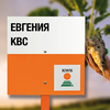 Свекла сахарная сорт ЕВГЕНИЯ KBC