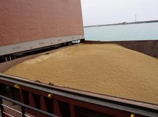 Организовать бесперебойный экспорт зерна в Мангистау поручил МСХ