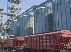 Казахстан экспортировал 5,1 млн тонн зерна в 2025 году