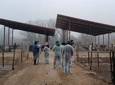 ФАО запустила виртуальный курс для животноводов по биобезопасности