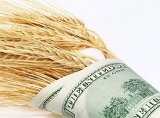 Курс национальной валюты Казахстана укрепился, доллар подешевел, экспорт зерна в России снижен