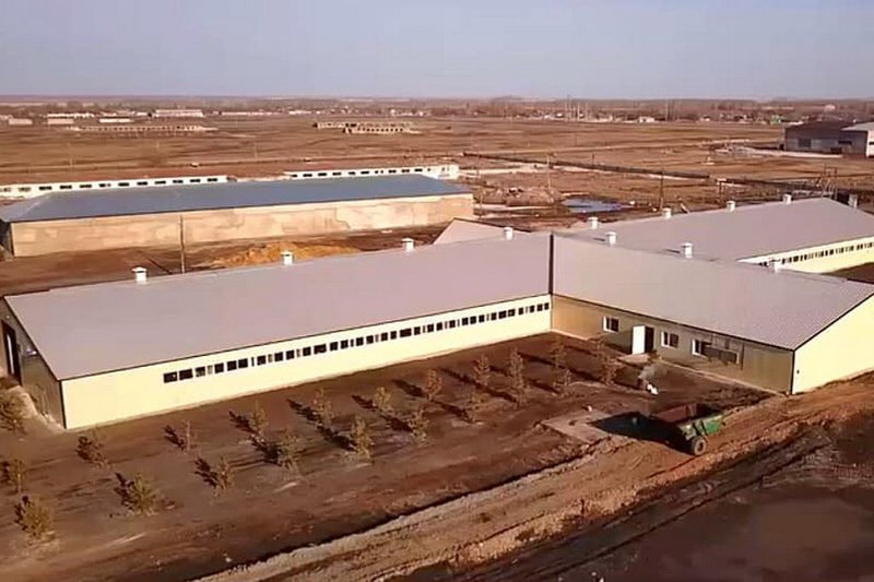 Новая молочная ферма запущена в Северо-Казахстанской области
