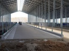 Мегаферму на 8 тыс. голов строят в Северном Казахстане