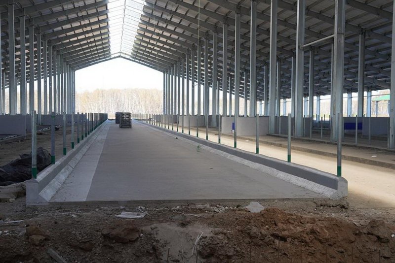 Мегаферму на 8 тыс. голов строят в Северном Казахстане