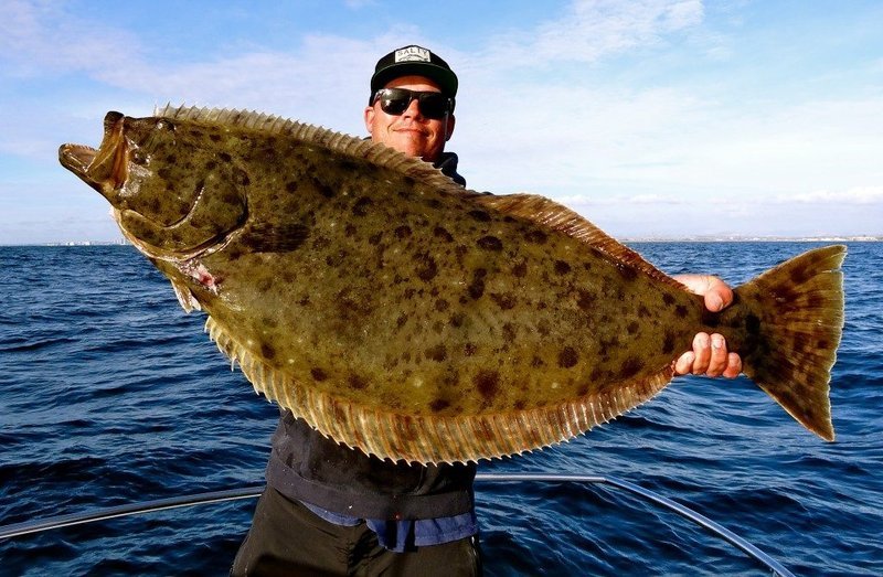 flounder1.width-800