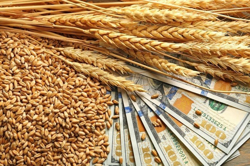 АгроИнсайд № 27. Сельхозпредприятия закрываются. Экспорт пшеницы по $235 за тонну. Помощь фермерам пострадавшим от дождей