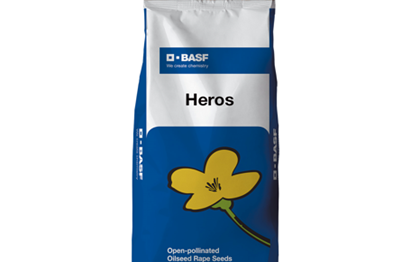 Герос рапс сұрпы