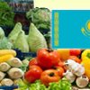 Биржа овощей в Казахстане