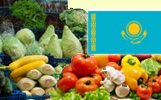 Биржа овощей в Казахстане