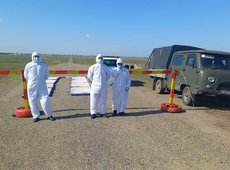 Причину вспышки сибирской язвы озвучили в Акмолинской области