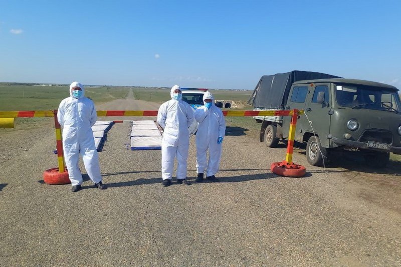 Подозрение на сибирскую язву в Абайской области не подтвердилось