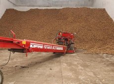 В Карагандинской области законтрактовано около 19 тыс. тонн картофеля и овощей