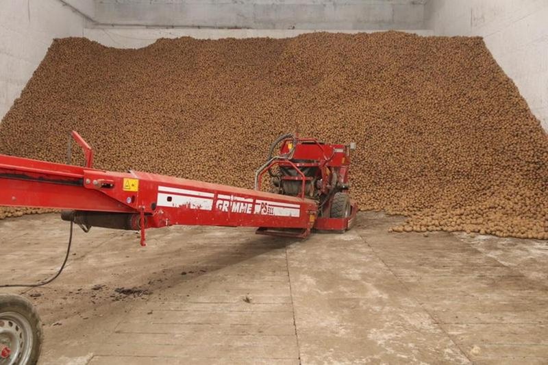 В Карагандинской области законтрактовано около 19 тыс. тонн картофеля и овощей