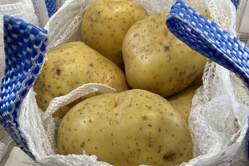 Алматинские аграрии начали поставки картофеля на завод PepsiCo