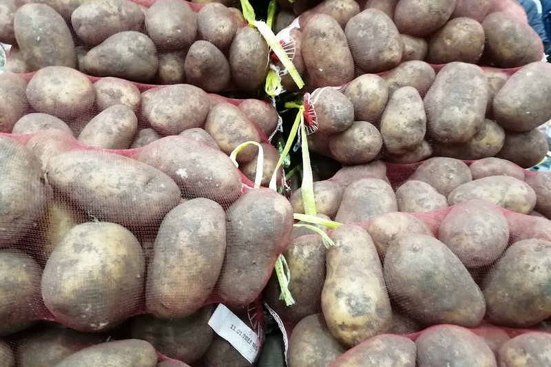 СПК «Алматы» закупит у фермеров 10,4 тыс. тонн овощей