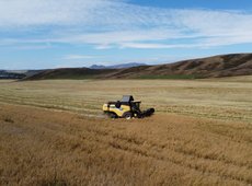 КАФ пересматривает договоры лизинга из-за повышения НДС