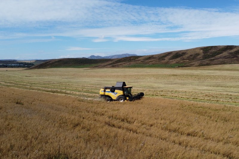 КАФ пересматривает договоры лизинга из-за повышения НДС
