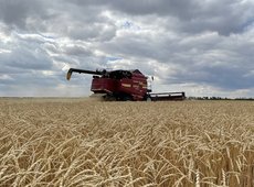 Продкорпорация объявила цены закупа зерна нового урожая