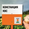 КОНСТАНЦИЯ KBC қант қызылшасы сұрпы