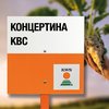 Свекла сахарная сорт КОНЦЕРТИНА KBC