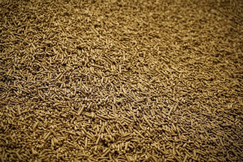 В Северном Казахстане запустят производство кормов из люцерны