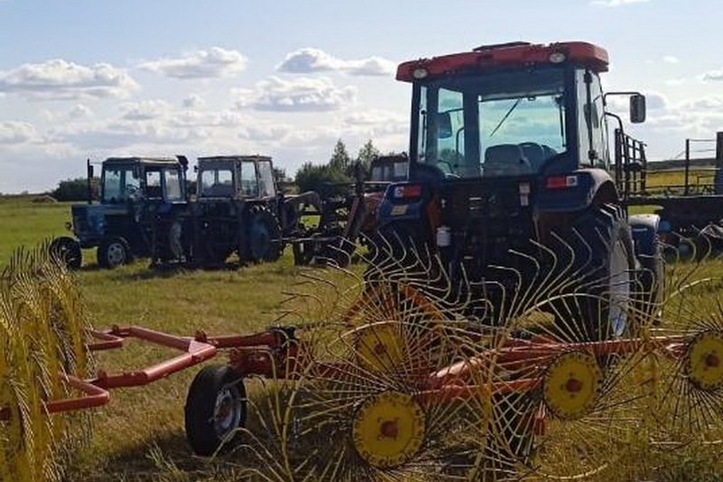 Кооператив по заготовке кормов создала сельчанка в Павлодарской области