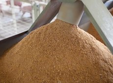 Поезд с 12 тыс. тонн кормовой муки отправлен из Казахстана в Китай