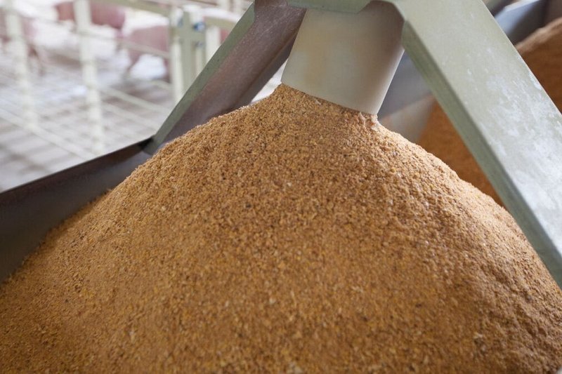 Поезд с 12 тыс. тонн кормовой муки отправлен из Казахстана в Китай