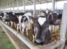 МСХ актуализировал базу ИСЖ